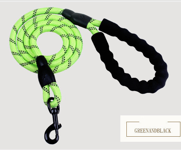 Reflective Nylon Dog Leash with Foam Handle for Walking Training
