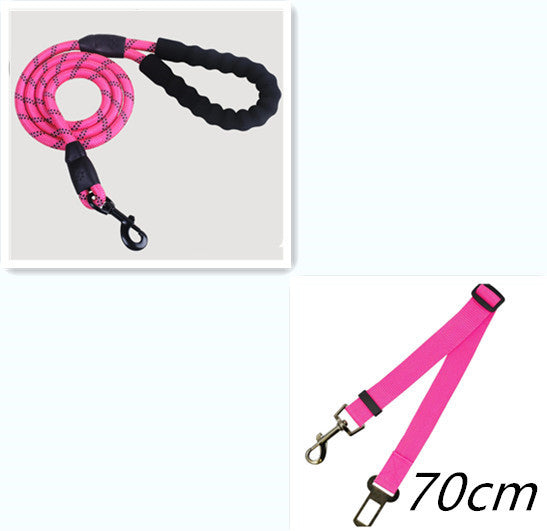 Reflective Nylon Dog Leash with Foam Handle for Walking Training