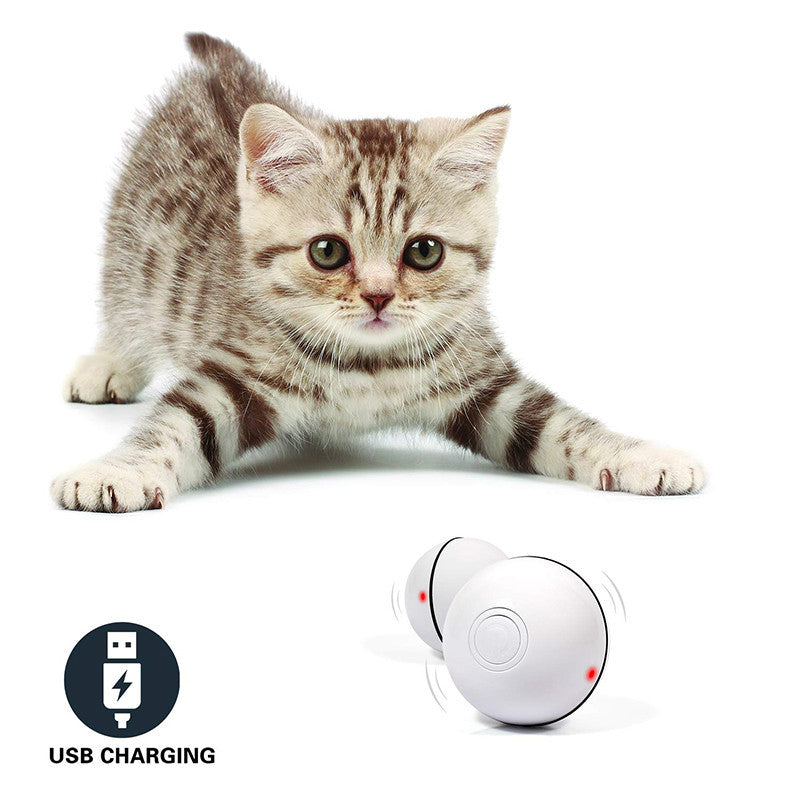 LED Rolling Cat Toy Ball – USB Rechargeable Laser Interactive Toy
