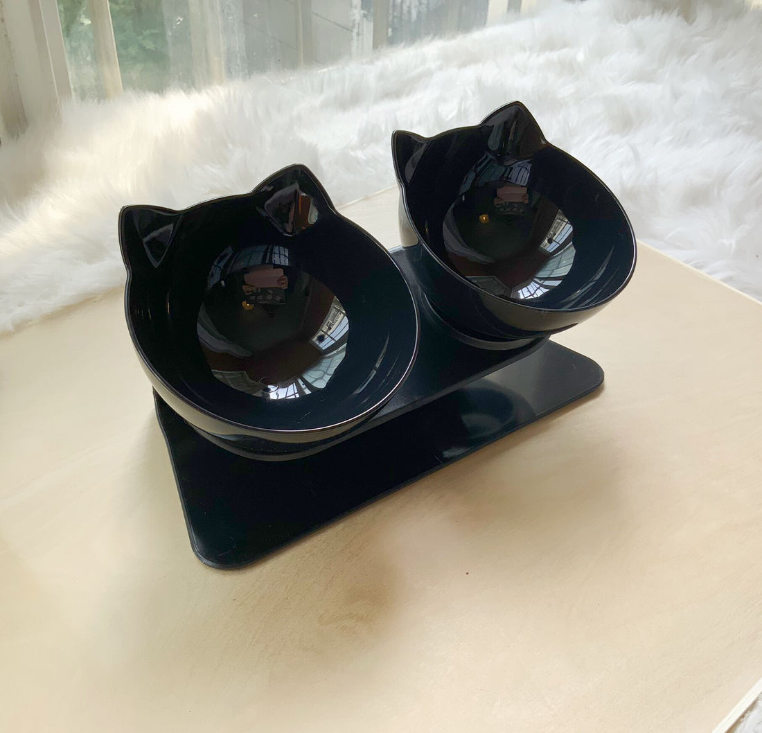 Cat Double Bowl with Stand – 15° Tilt anti-slip Neck Protection Feeder