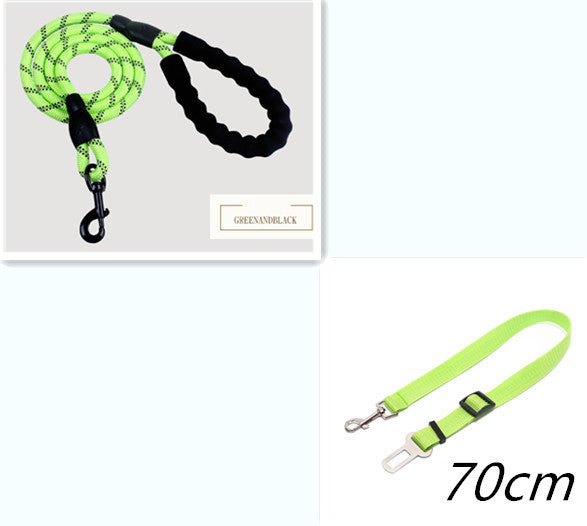 Reflective Nylon Dog Leash with Foam Handle for Walking Training
