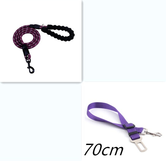 Reflective Nylon Dog Leash with Foam Handle for Walking Training