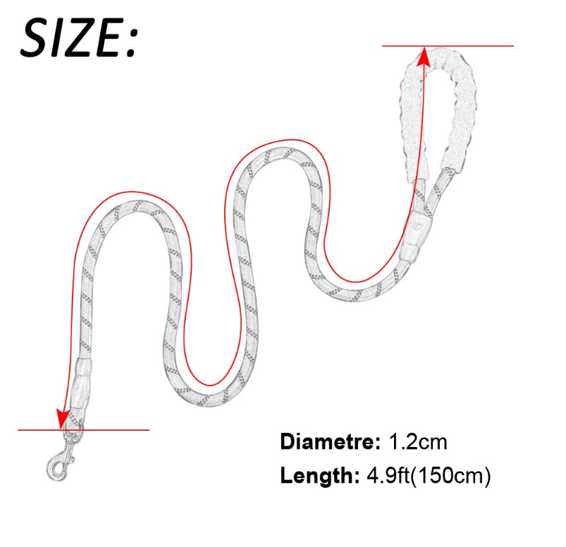 Reflective Nylon Dog Leash with Foam Handle for Walking Training