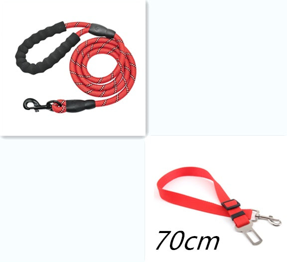 Reflective Nylon Dog Leash with Foam Handle for Walking Training