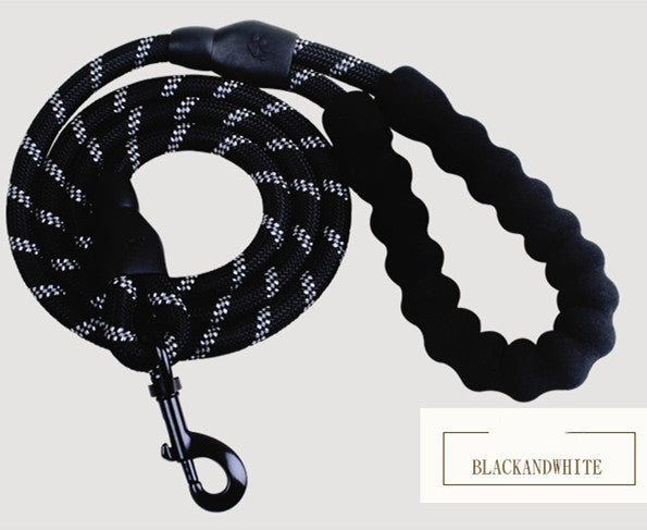 Reflective Nylon Dog Leash with Foam Handle for Walking Training